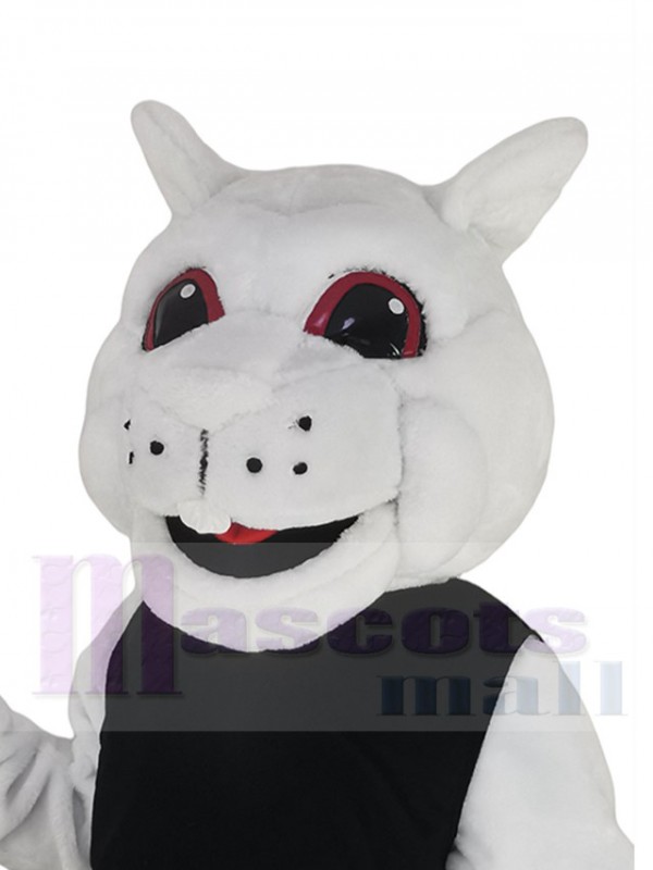 Écureuil costume de mascotte