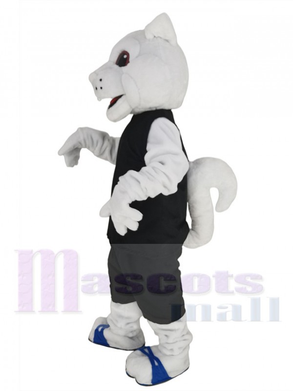 Écureuil costume de mascotte
