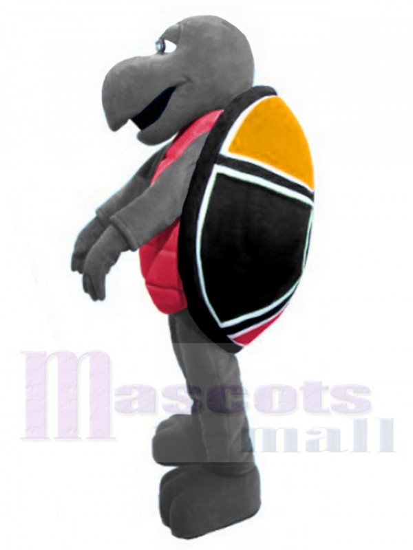 Tortue costume de mascotte