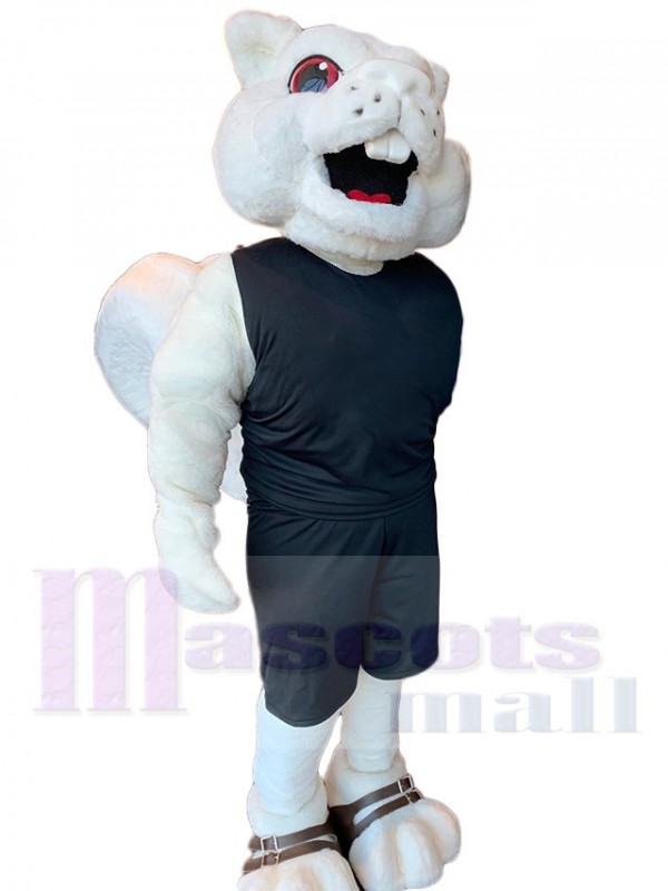 Écureuil costume de mascotte