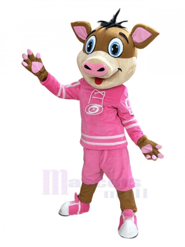 Sanglier costume de mascotte