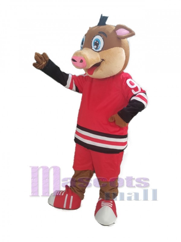 Sanglier costume de mascotte