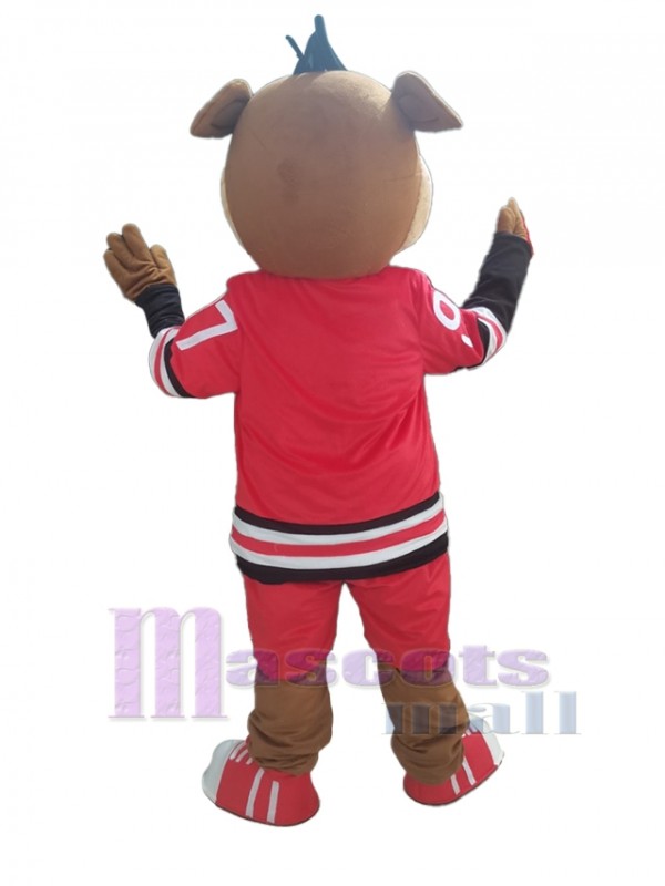 Sanglier costume de mascotte