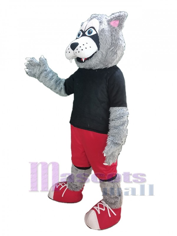 Loup costume de mascotte