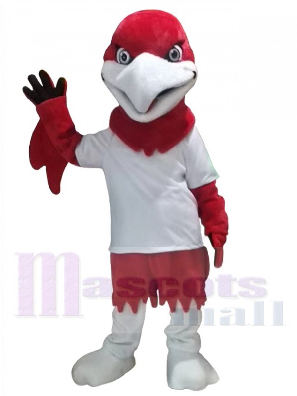 Aigle costume de mascotte