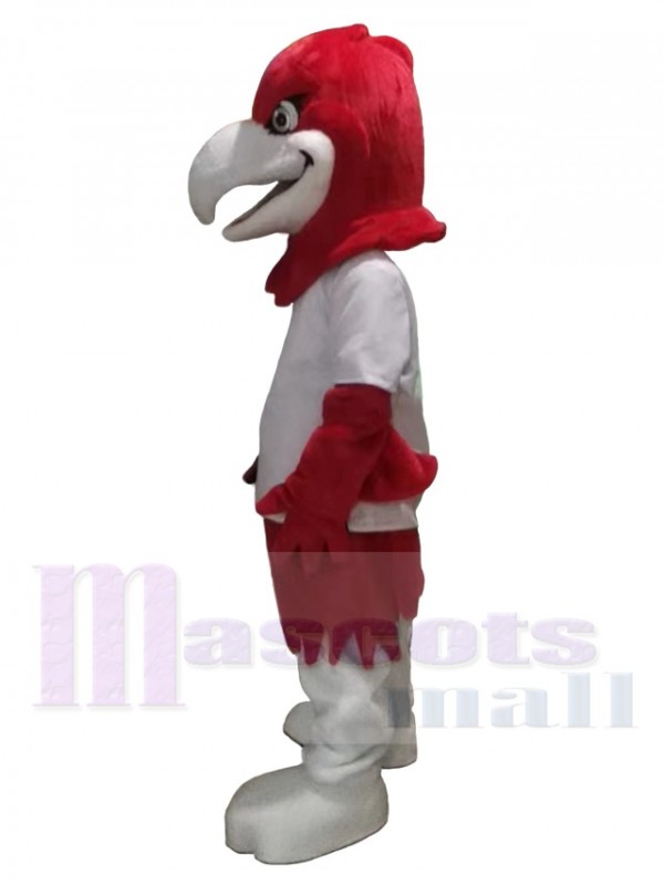 Aigle costume de mascotte