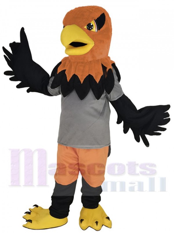 Faucon costume de mascotte