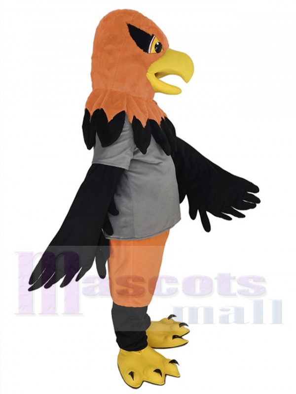 Faucon costume de mascotte