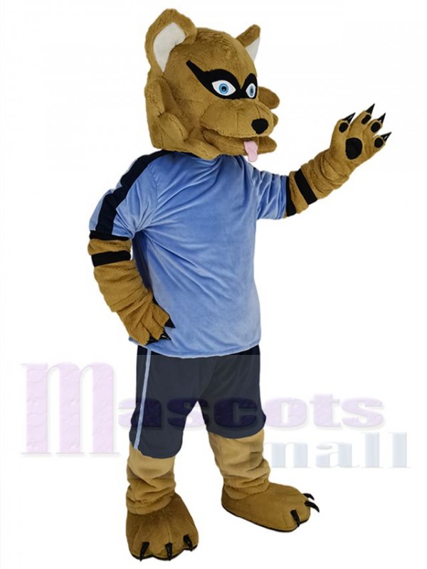 Raton Laveur costume de mascotte
