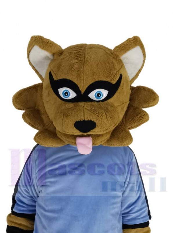 Raton Laveur costume de mascotte