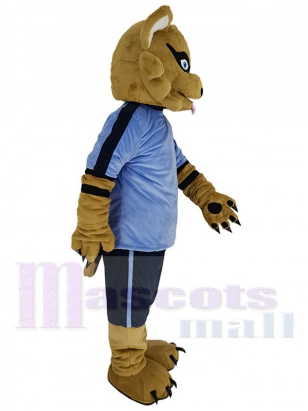 Raton Laveur costume de mascotte