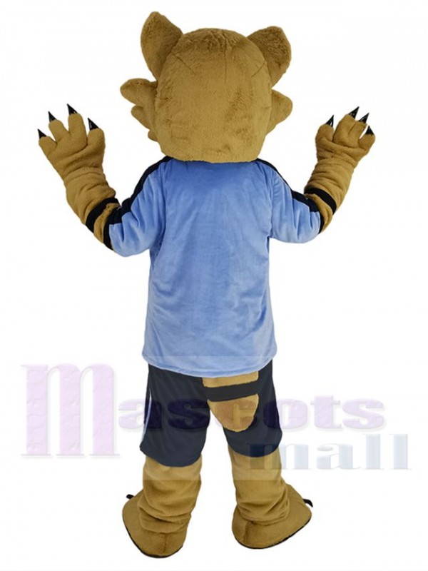 Raton Laveur costume de mascotte