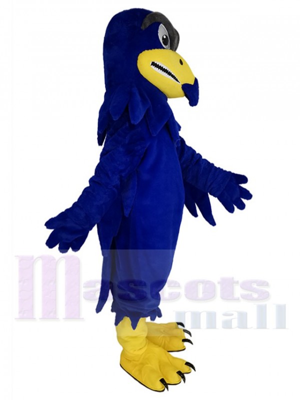 Faucon costume de mascotte