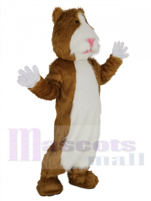 Hamster maskottchen kostüm