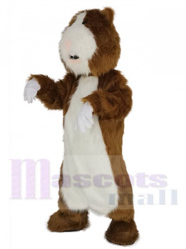 Hamster costume de mascotte