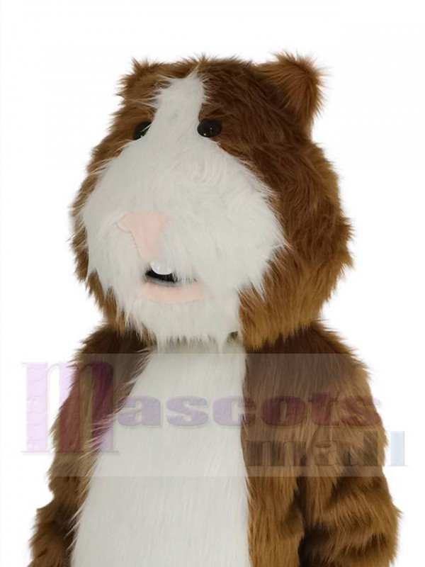 Hamster costume de mascotte