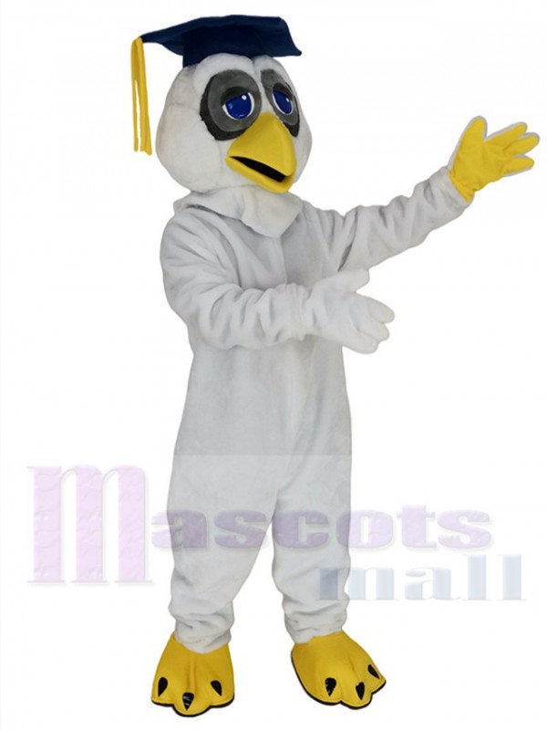 Hibou costume de mascotte