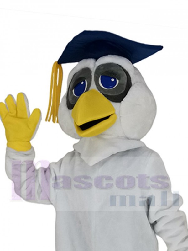 Hibou costume de mascotte