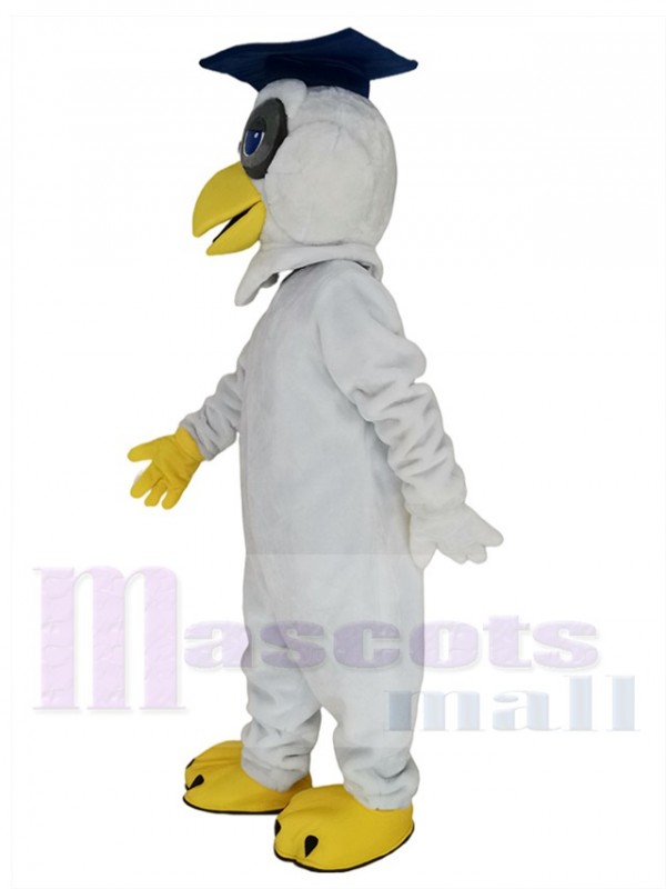 Hibou costume de mascotte