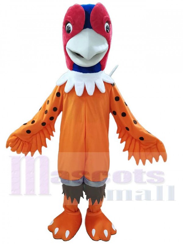 Faisan costume de mascotte