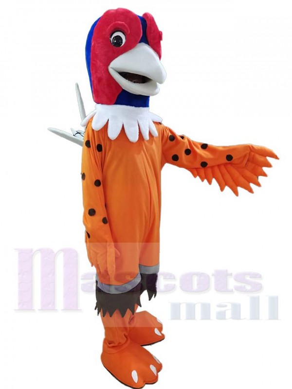 Faisan costume de mascotte