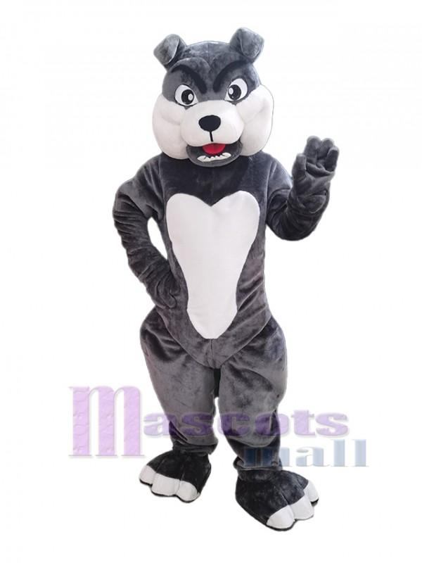 Chien costume de mascotte