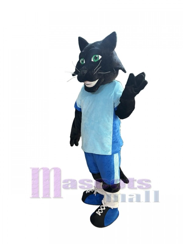 Chat costume de mascotte