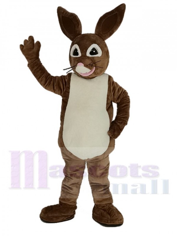 brun Peter Lapin Mascotte Costume Dessin animé