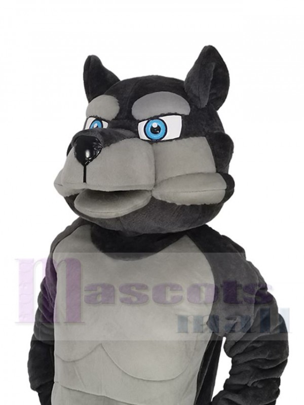 Loup maskottchen kostüm