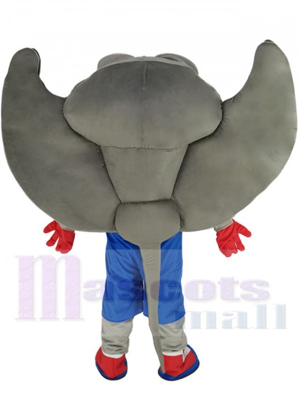 Raie costume de mascotte