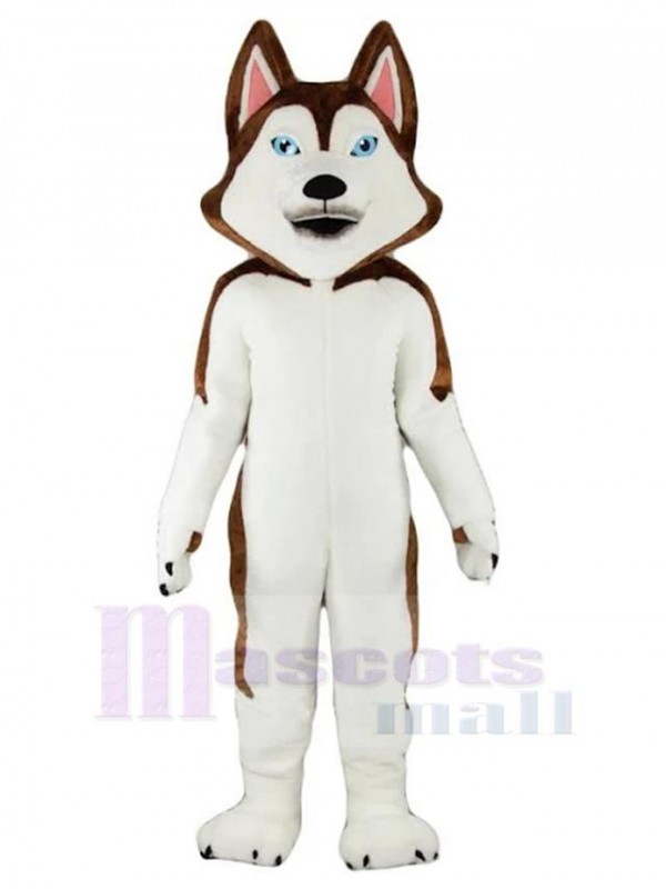 Chien costume de mascotte