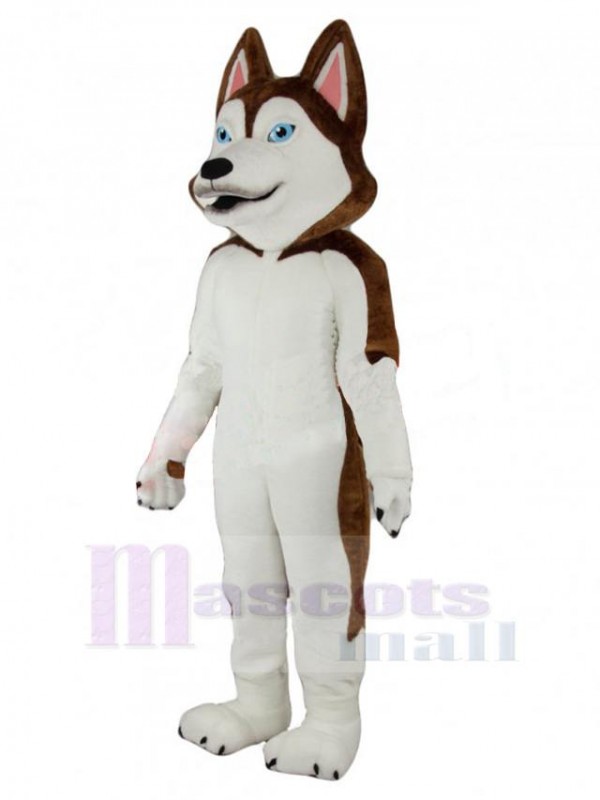 Chien costume de mascotte