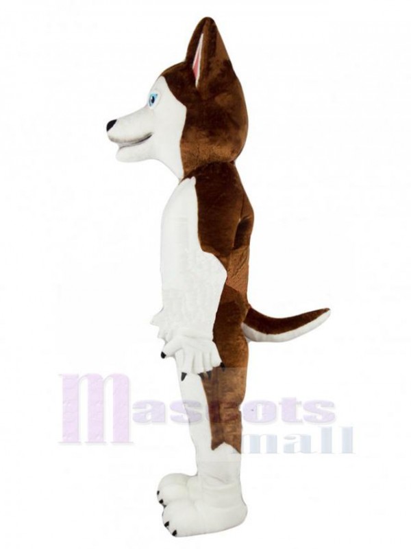 Chien costume de mascotte
