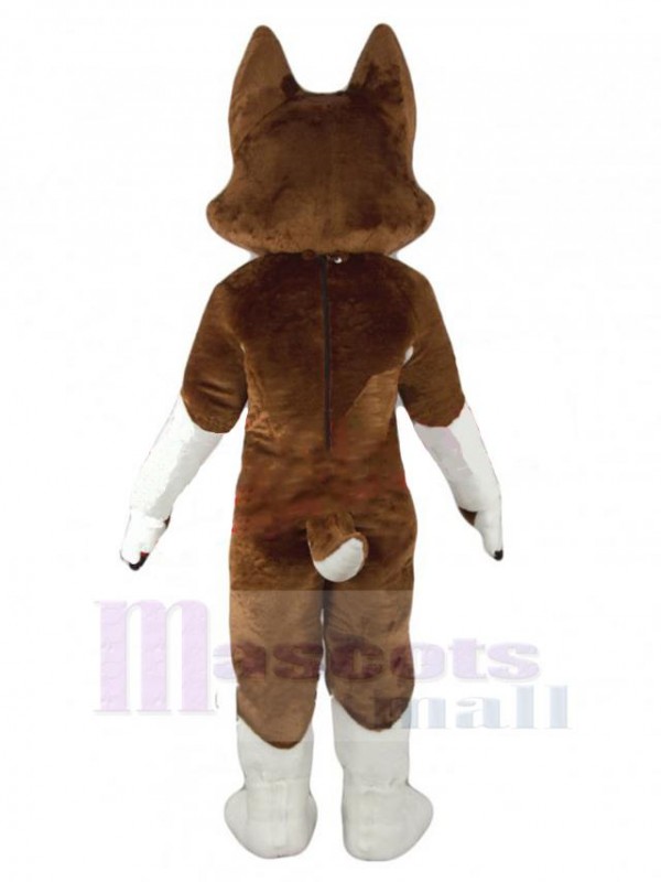 Chien costume de mascotte
