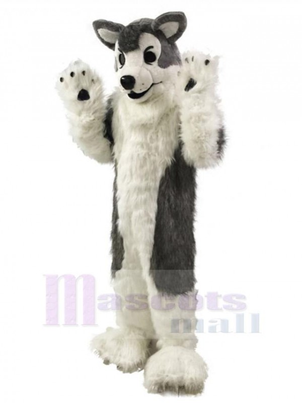 Chien costume de mascotte