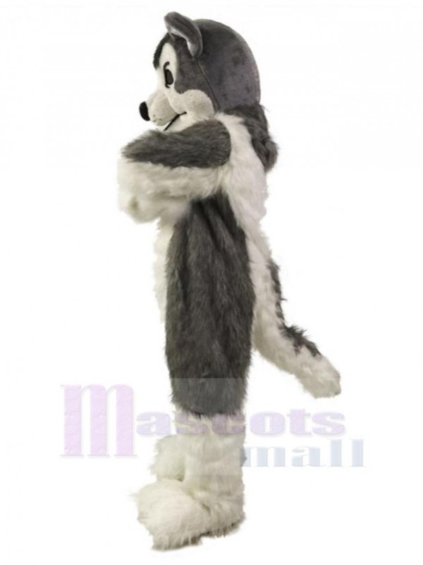 Chien costume de mascotte
