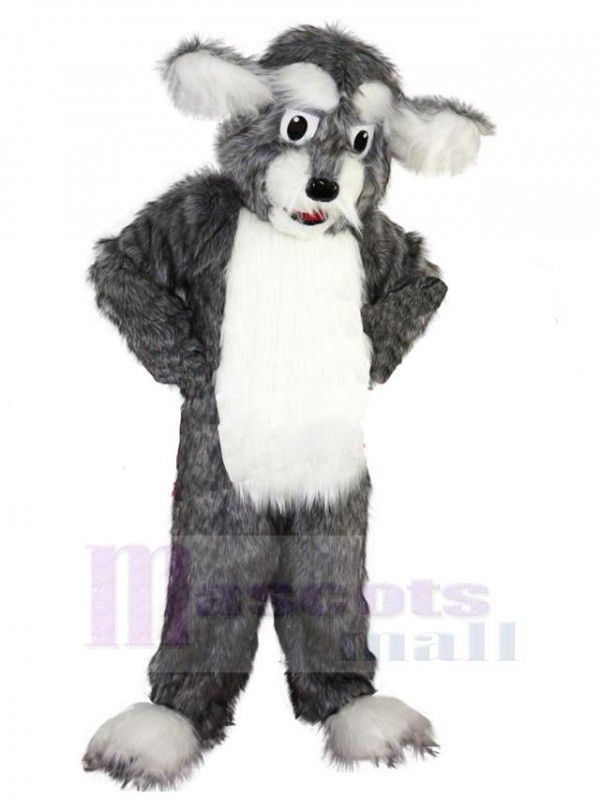 Chien costume de mascotte