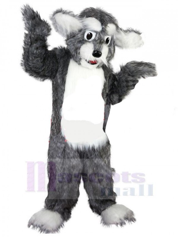 Chien costume de mascotte
