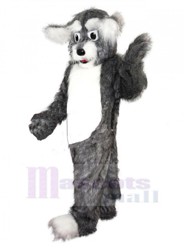 Chien costume de mascotte
