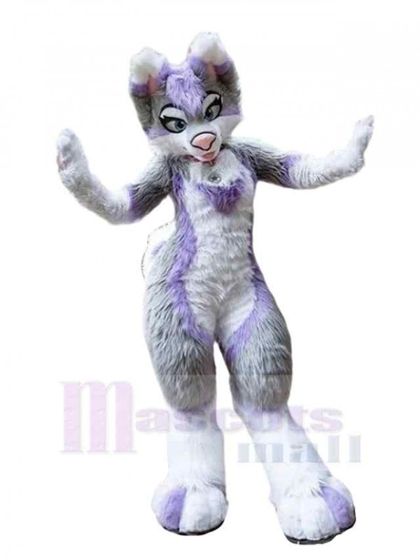 Chien costume de mascotte