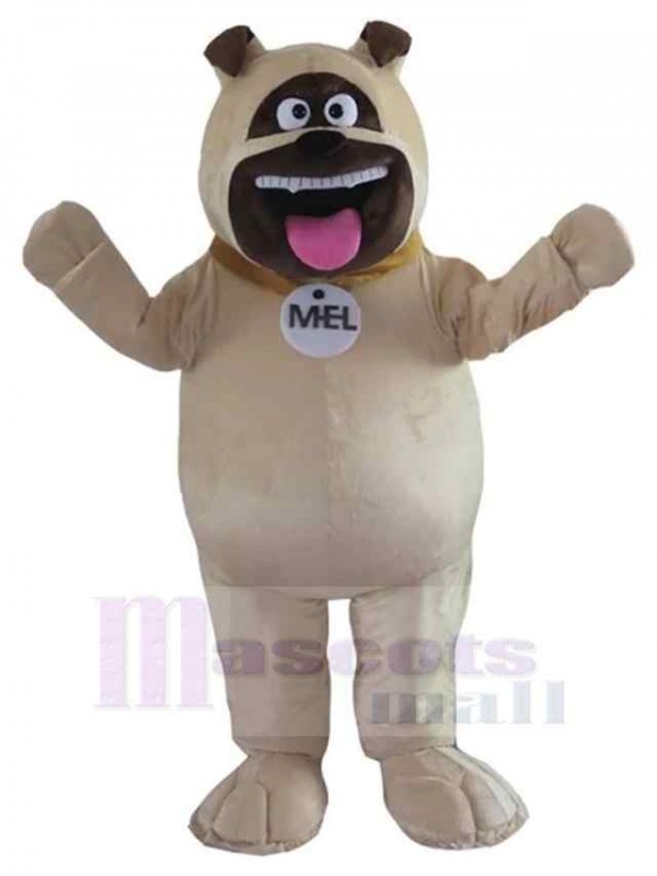 Chien costume de mascotte