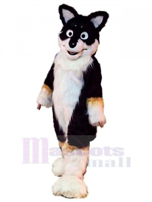 Chien costume de mascotte