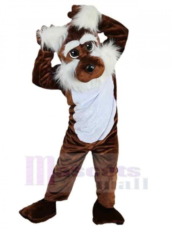 Chien costume de mascotte