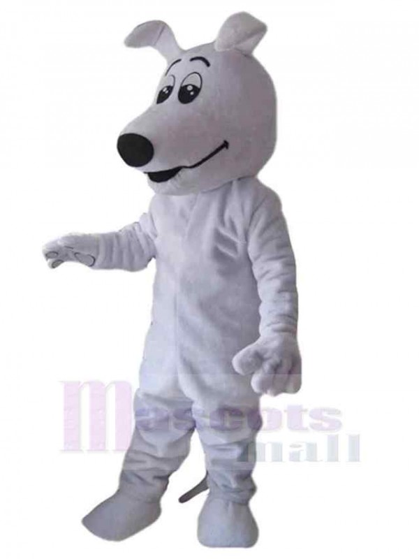 Hund maskottchen kostüm