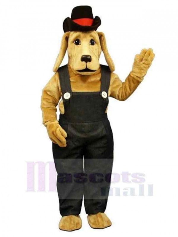 Chien costume de mascotte