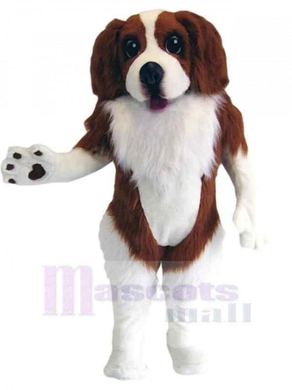 Chien costume de mascotte