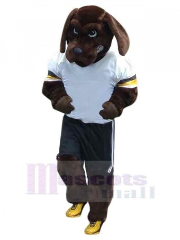 Chien costume de mascotte
