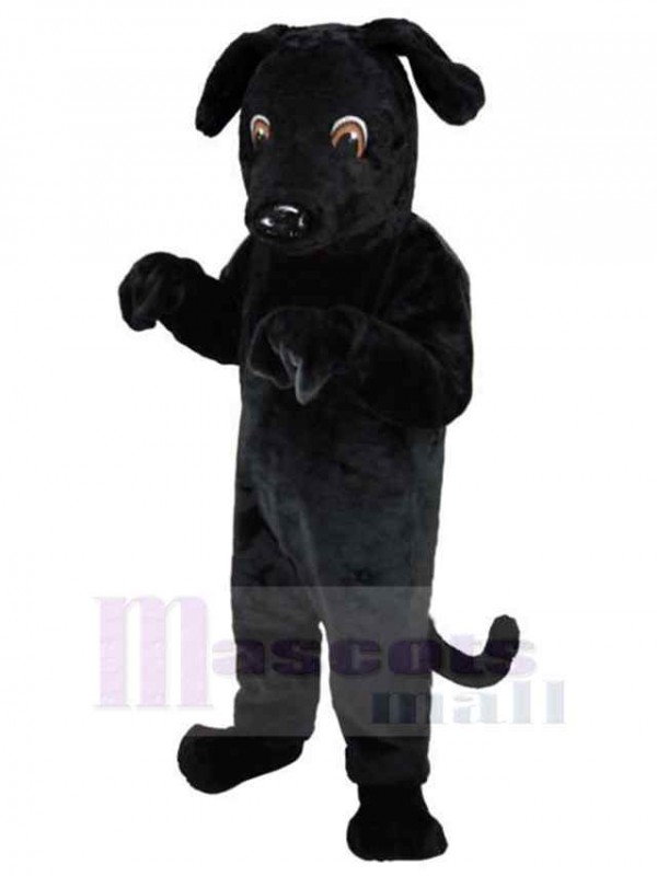 Chien costume de mascotte