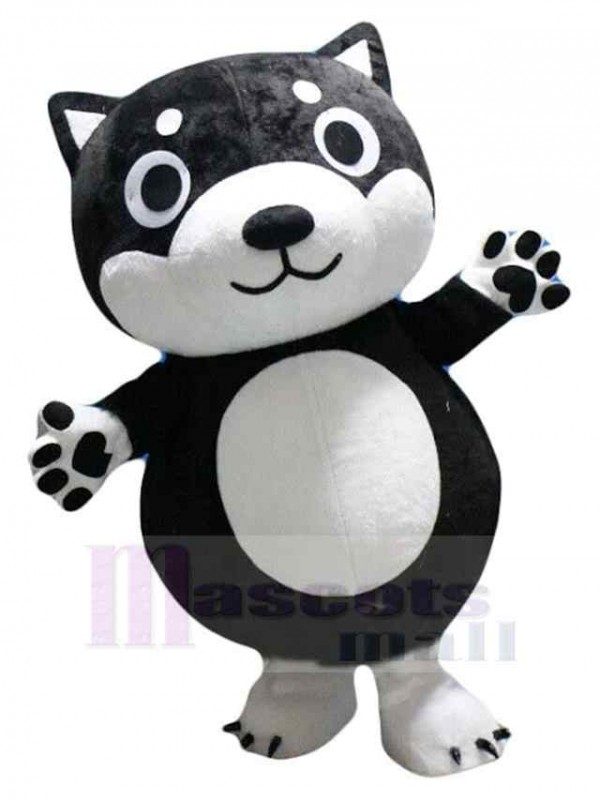 Chien costume de mascotte