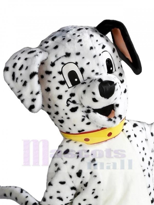 Chien costume de mascotte